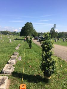 Tree Planting at Fair View, Arbor Day 2017
